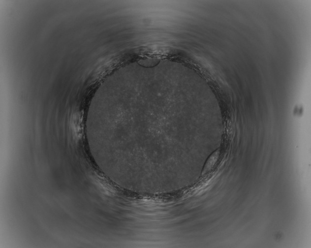 X0000100190818200806061256