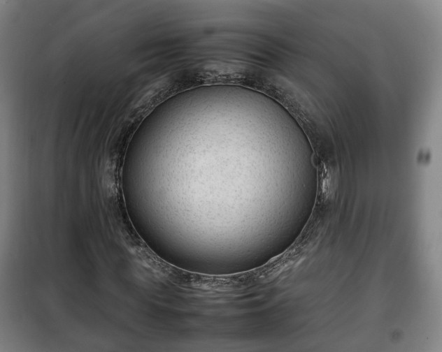 X0000100190819200806061256