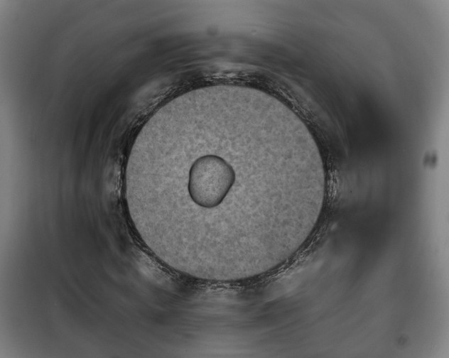 X0000100190820200806061256