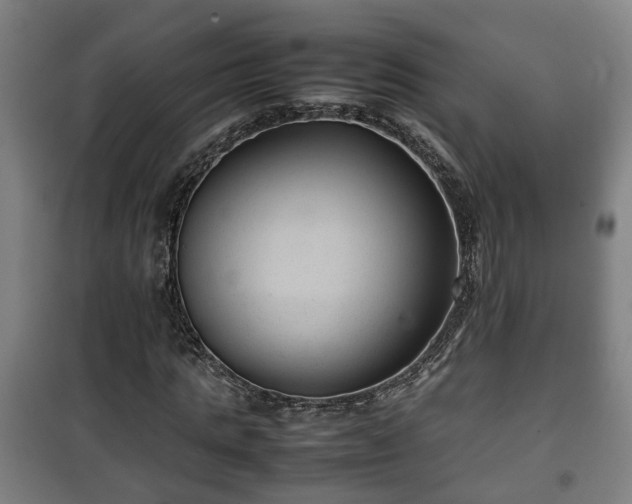 X0000100190821200806061256