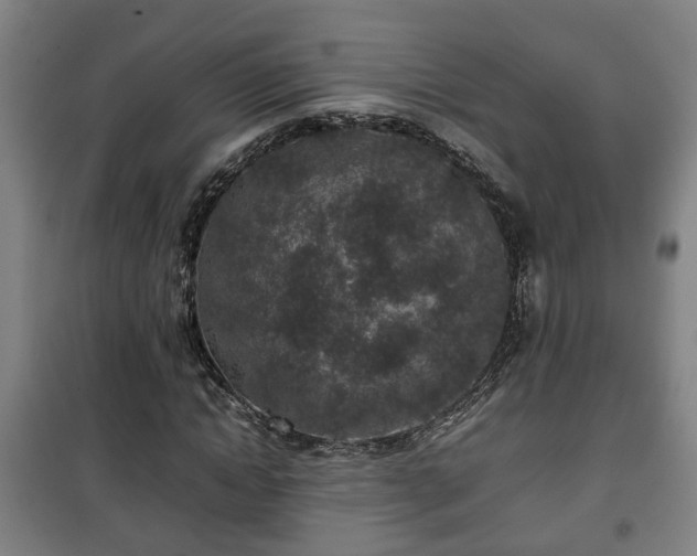 X0000100190822200806061256