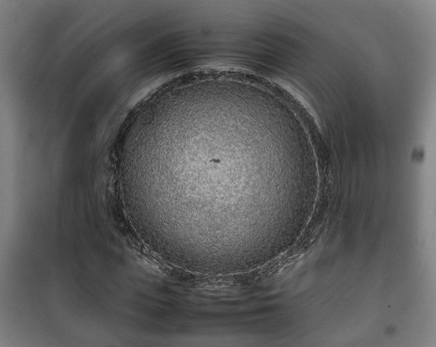 X0000100190823200806061256