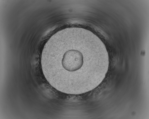 X0000100190824200806061256