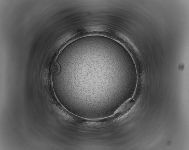 X0000100190825200806061256