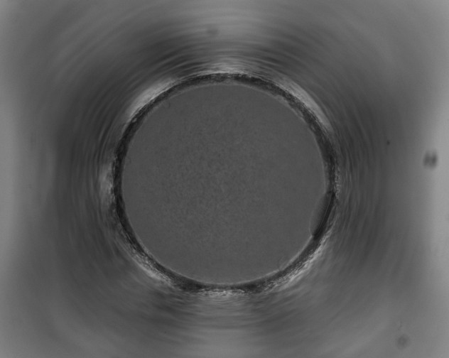 X0000100190826200806061256