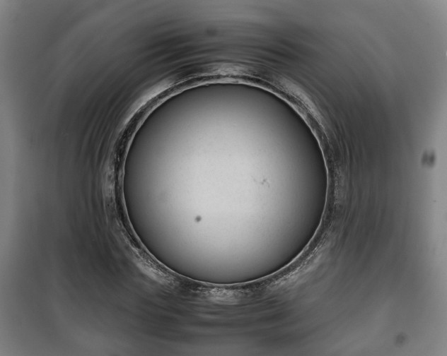 X0000100190827200806061256