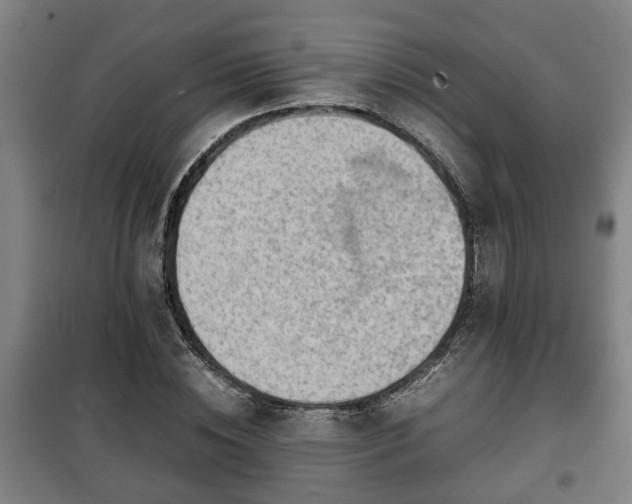 X0000100190828200806061256