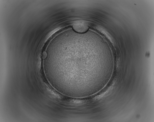 X0000100190829200806061256