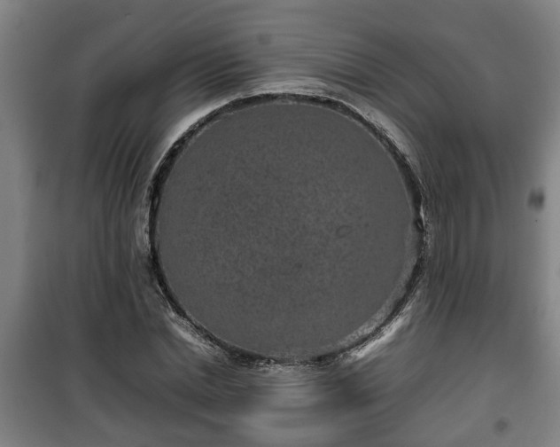 X0000100190830200806061256