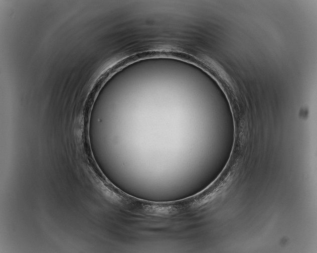 X0000100190831200806061256