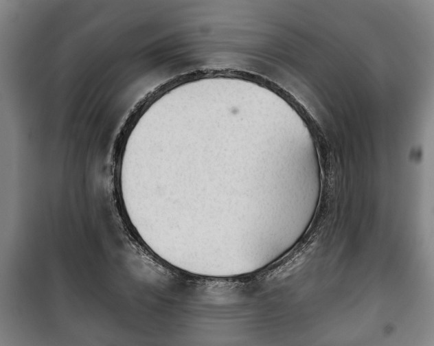 X0000100190832200806061256