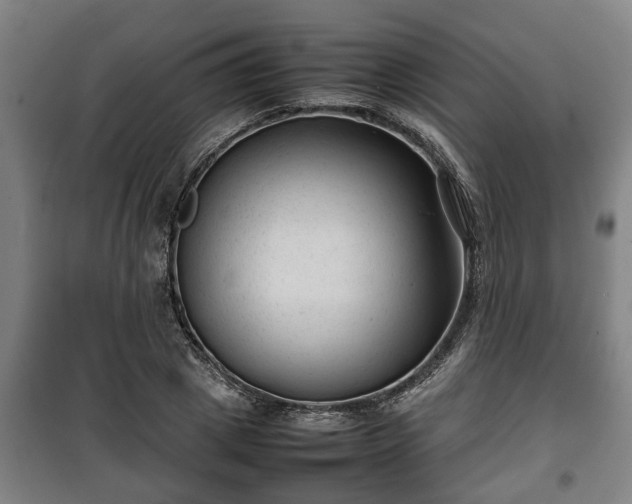 X0000100190833200806061256