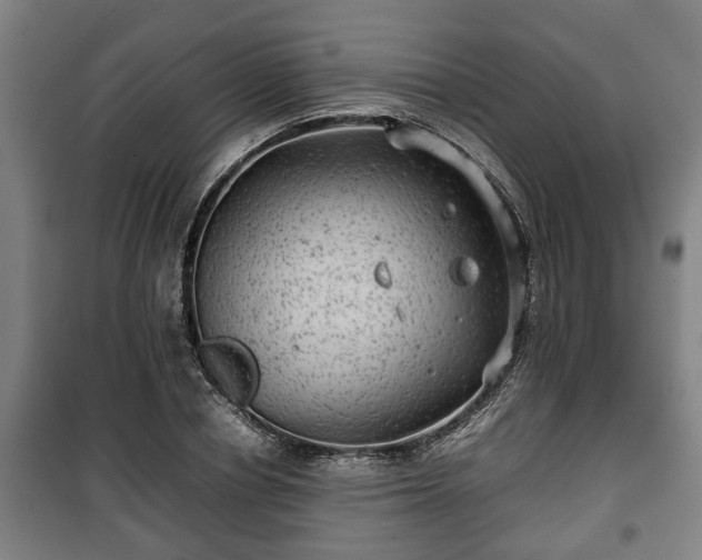 X0000100190834200806061256