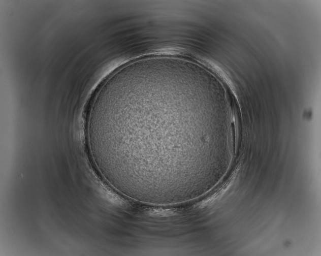 X0000100190835200806061256