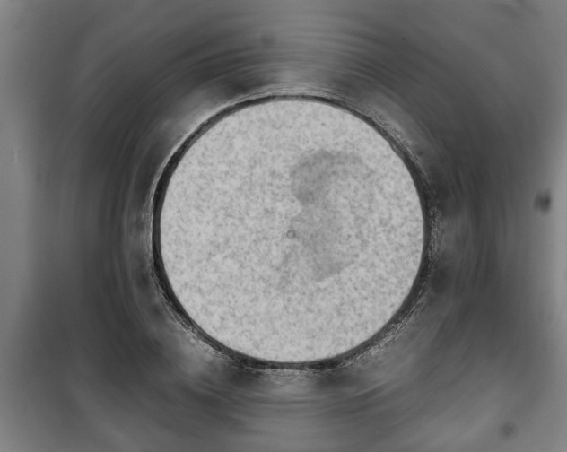 X0000100190836200806061256