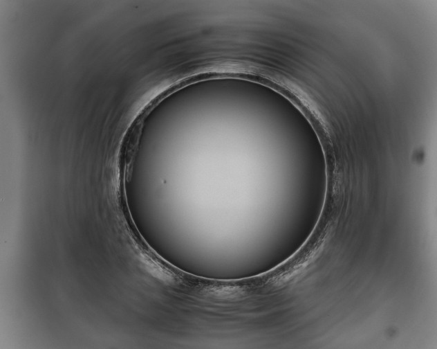 X0000100190837200806061256