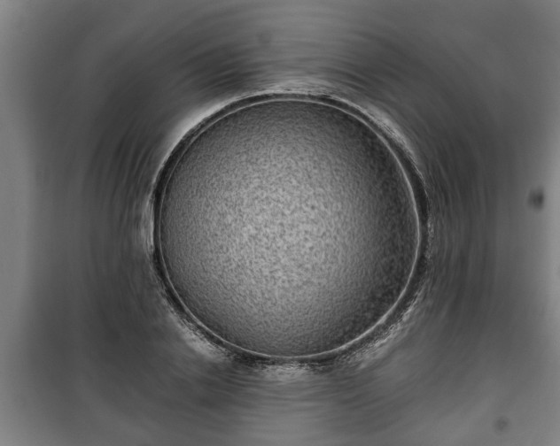 X0000100190838200806061256