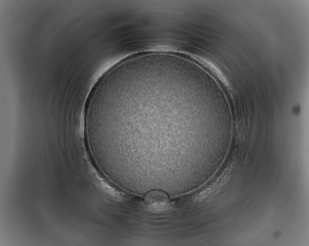 X0000100190839200806061256