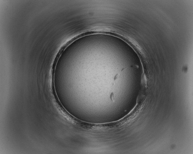 X0000100190840200806061256