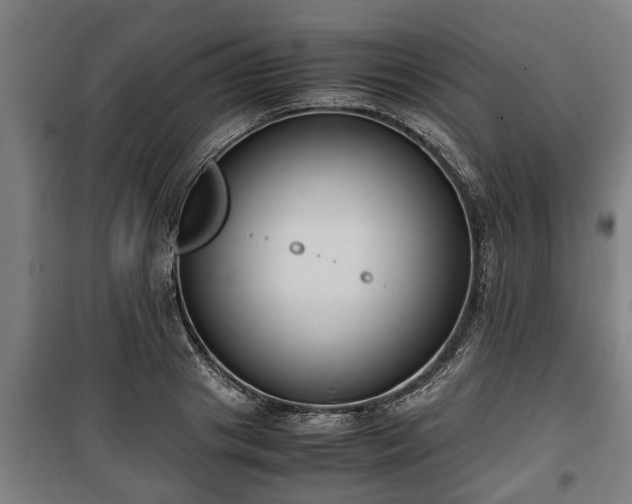 X0000100190841200806061256