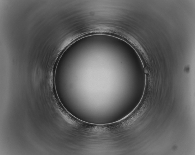 X0000100190842200806061256