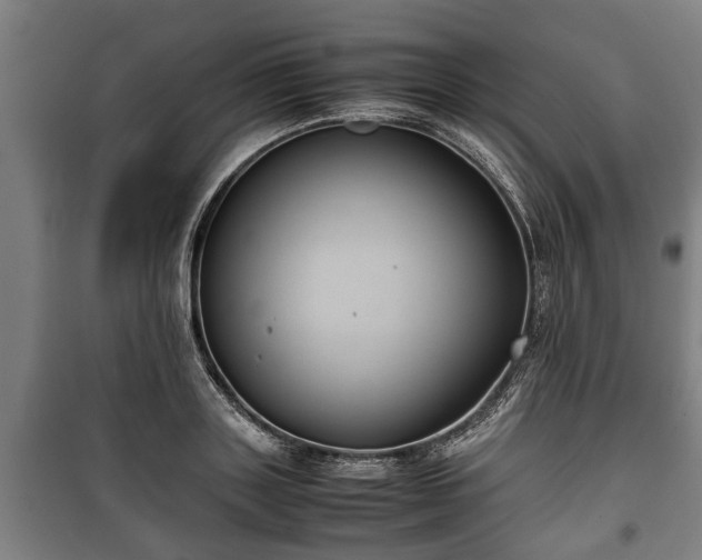 X0000100190843200806061256