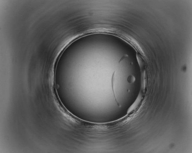 X0000100190844200806061256