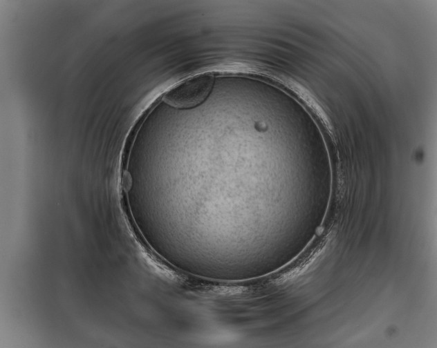 X0000100190845200806061256