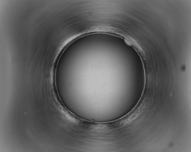 X0000100190846200806061256