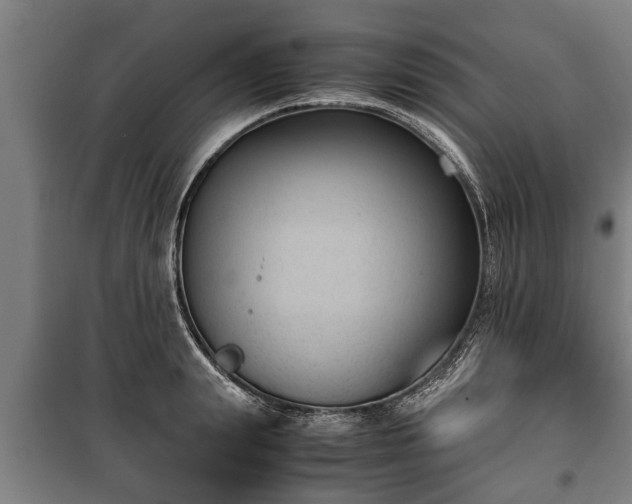 X0000100190847200806061256