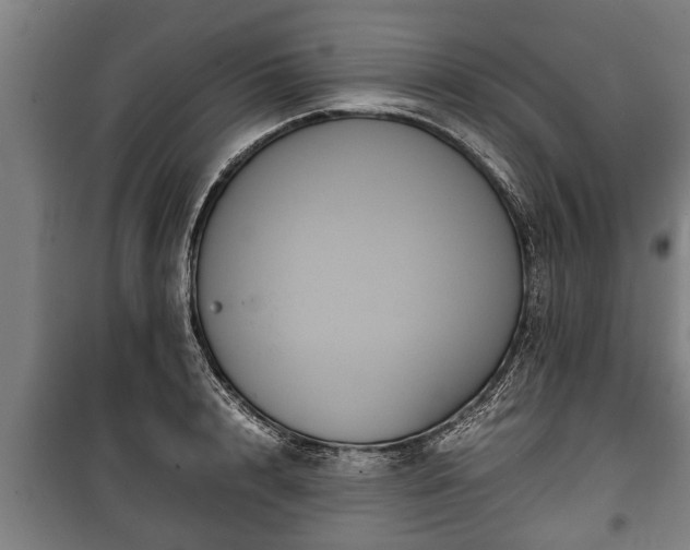 X0000100190848200806061256