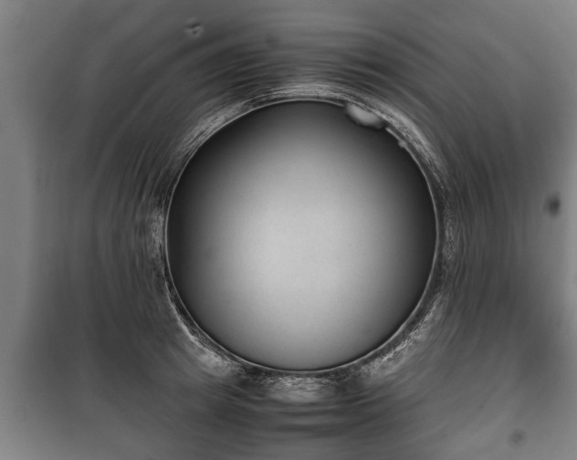 X0000100190849200806061256