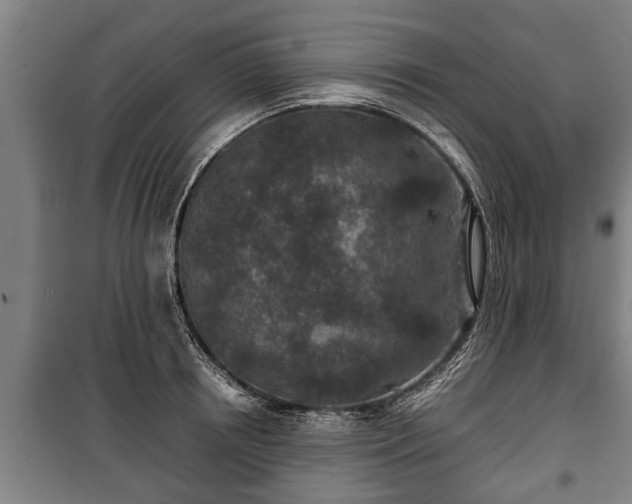 X0000100190850200806061256