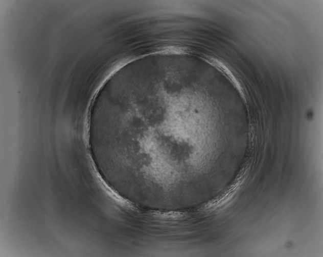 X0000100190851200806061256