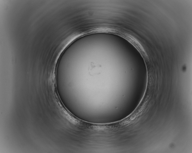 X0000100190852200806061256