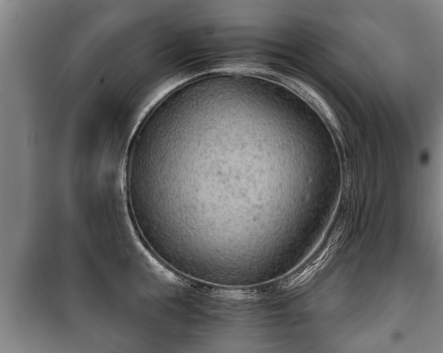 X0000100190855200806061256