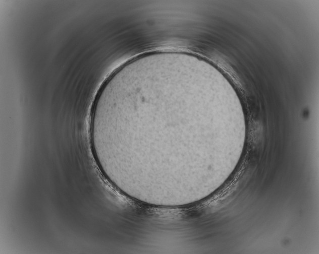 X0000100190856200806061256