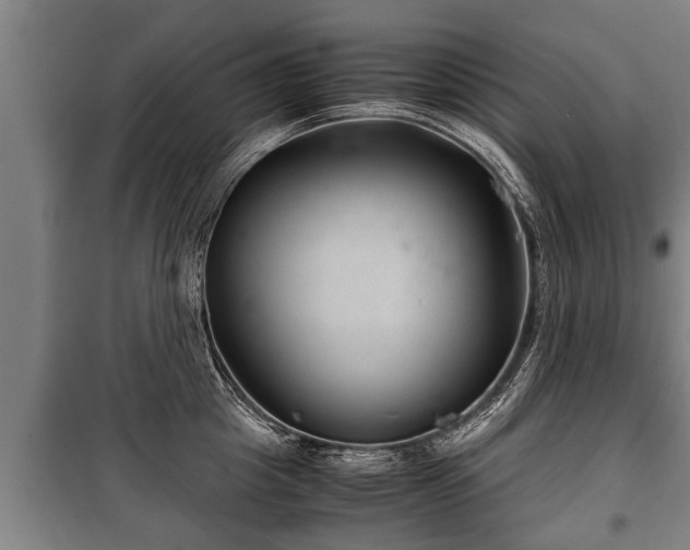 X0000100190857200806061256