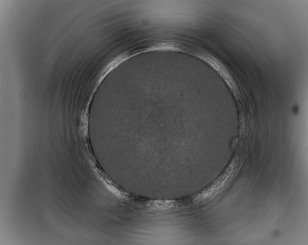 X0000100190858200806061256