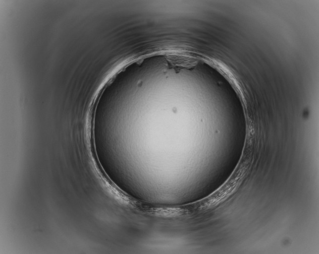 X0000100190859200806061256