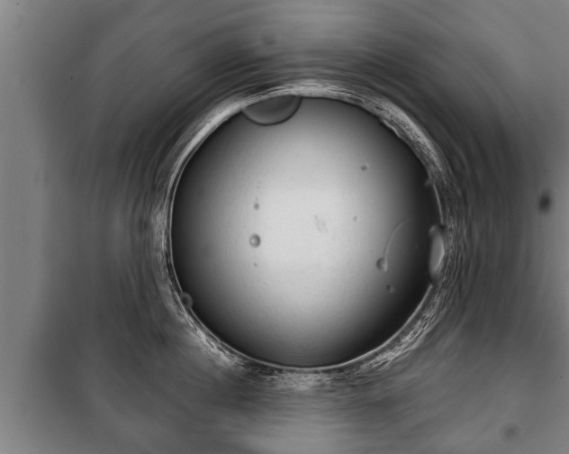 X0000100190860200806061256