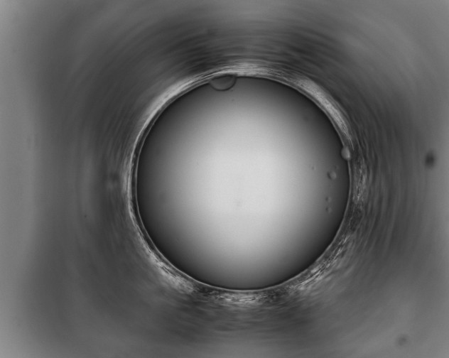 X0000100190861200806061256