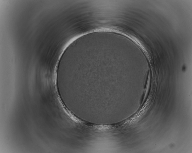 X0000100190862200806061256