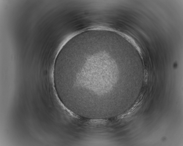 X0000100190863200806061256