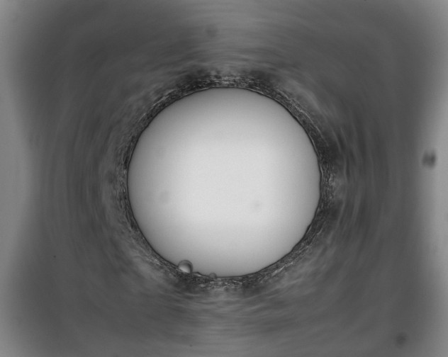 X0000100190865200806061256