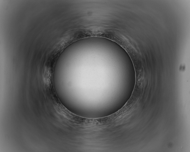 X0000100190866200806061256