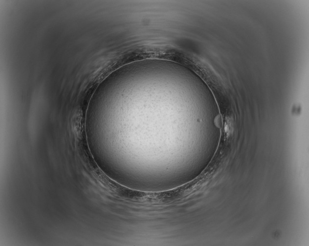 X0000100190867200806061256