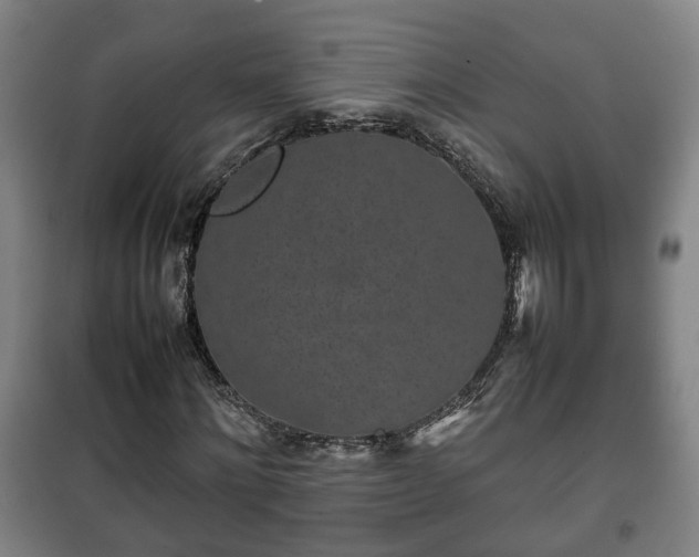 X0000100190868200806061256