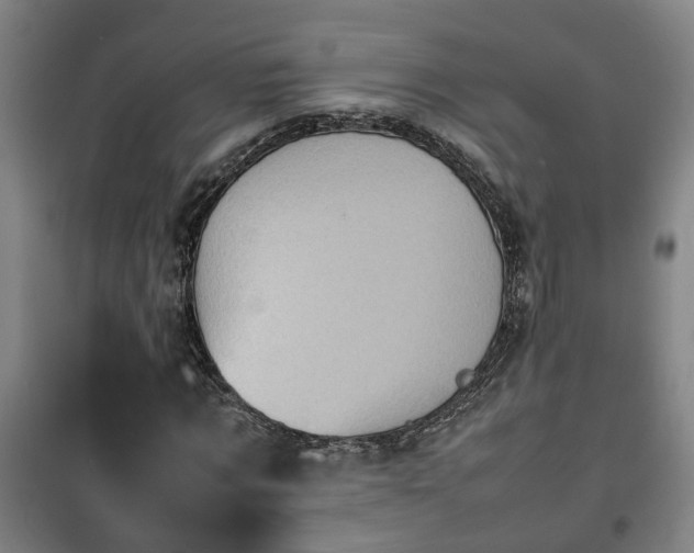 X0000100190869200806061256