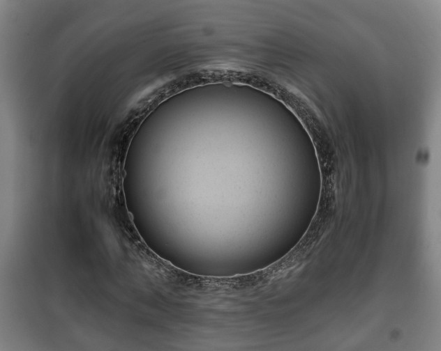 X0000100190870200806061256